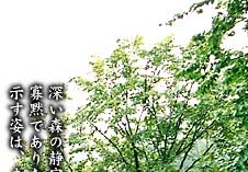 �[���X�� 