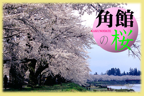 �O�ؓ����̍��^�p�ق̍�