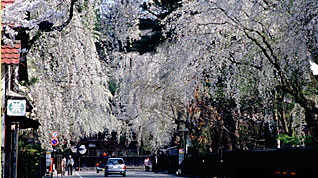 ���Ɖ��~�̂������